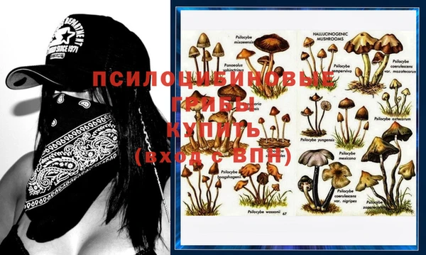 дживик Новокубанск