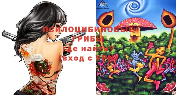 наркотики Новозыбков