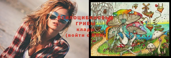 наркотики Новозыбков