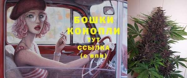 прущая мука Няндома