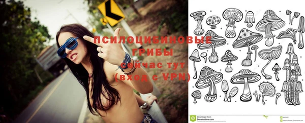 альфа пвп Бородино
