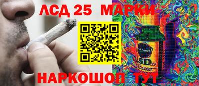 гидропоника Апшеронск