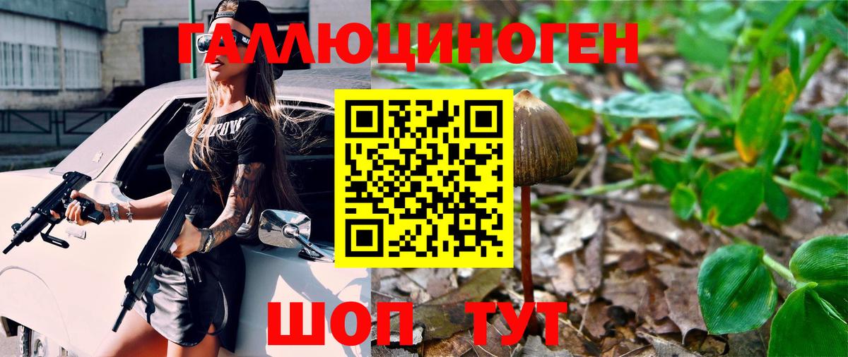 Псилоцибиновые грибы мицелий  сколько стоит  Галлюциногенные грибы Magic Shrooms  Белгород 