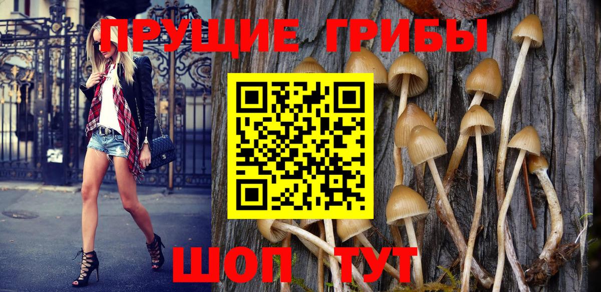 Псилоцибиновые грибы мухоморы Белгород