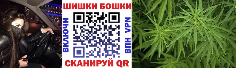 как найти   Белгород  Каннабис конопля 